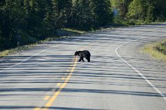 Whitehorse To WPYR Train
